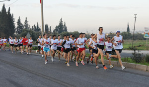 14987_20151214085520_SUA_4531