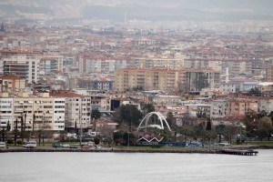 BAY_5955