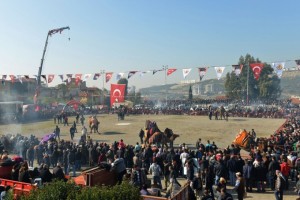 Cigli-Deve-Guresleri-Ile-Senlendi-__069b1241fbeef767debc58455ab326873412