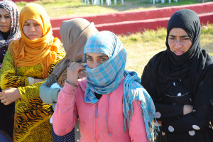 DSC_5931 (1)