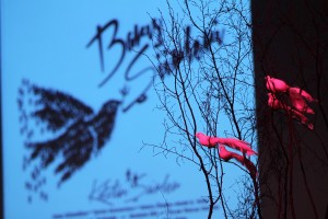 Dizelerle ‘barış’ dediler (1)