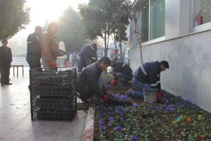 img-0586jpg-1450775723