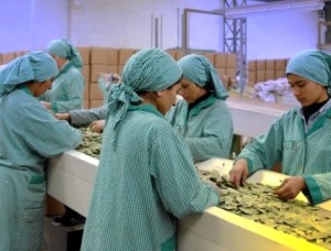 Doğadan 100 Milyon Dolar Kazanıyorlar Doğadan 100 Milyon Dolar Kazanıyorlar