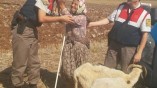 Menderes’te Hırsızlık İddiası