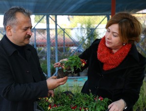 Buca 365 gün çiçek açacak