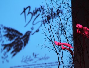 Dizelerle ‘barış’ dediler