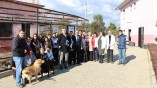 Sevimli hayvanlar, genç fotoğrafçılara poz verdi