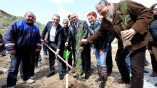 Fidan Dikmeyene Ruhsat Yok