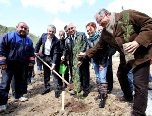 Fidan Dikmeyene Ruhsat Yok Fidan Dikmeyene Ruhsat Yok