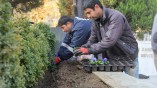 MENDERES’TE KIŞLIKLAR ÇIKTI