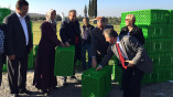 Sıra zeytin üreticisine geldi