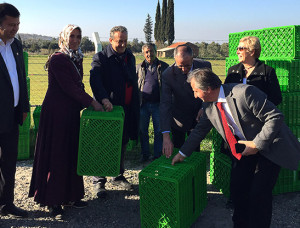 Sıra zeytin üreticisine geldi