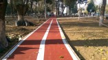 PARK VE BAHÇELERDE KIŞ SEFERBERLİĞİ