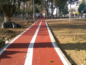 PARK VE BAHÇELERDE KIŞ SEFERBERLİĞİ
